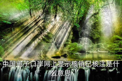 為什么核銷報驗，中國電子口岸網上顯示核銷已核注是什么意思