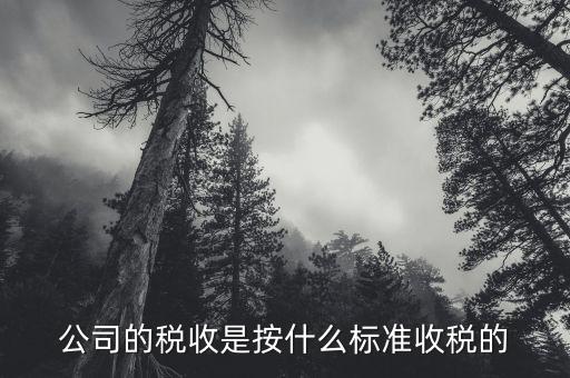 公司按什么標(biāo)準(zhǔn)納稅，公司的稅收是按什么標(biāo)準(zhǔn)收稅的