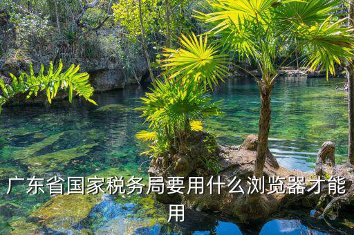 報(bào)稅要什么瀏覽器，山東國稅網(wǎng)上申報(bào)系統(tǒng)需要什么瀏覽器