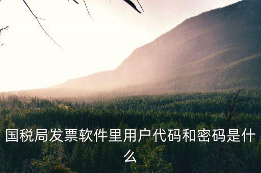 個(gè)稅用戶代碼是什么，國稅局發(fā)票軟件里用戶代碼和密碼是什么