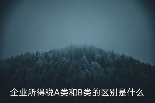 企業(yè)所得稅b類是什么意思，企業(yè)所得稅A類和B類的區(qū)別是什么