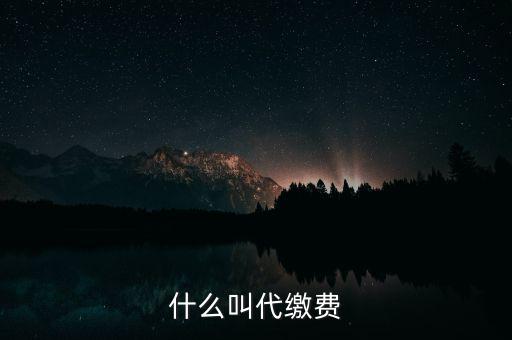 什么叫代繳費