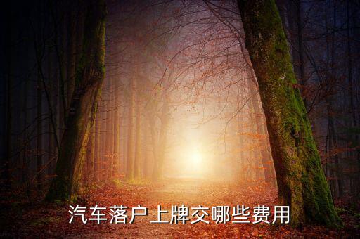 新車上牌要交什么稅，汽車落戶上牌交哪些費(fèi)用
