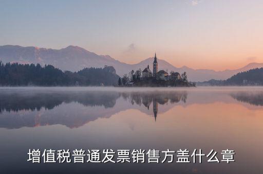 發(fā)票稅務(wù)章什么樣的，增值稅普通發(fā)票銷(xiāo)售方蓋什么章