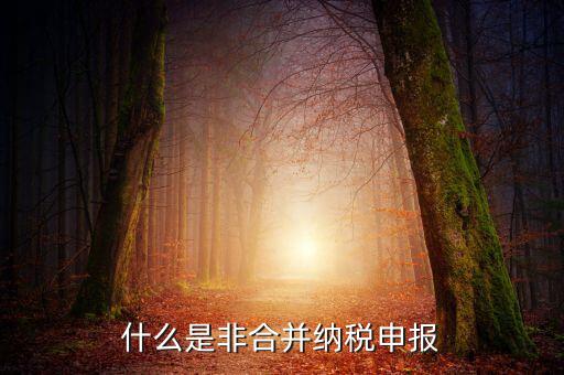 什么是非匯總納稅企業(yè)，什么是跨區(qū)經(jīng)營(yíng)匯總納稅企業(yè)