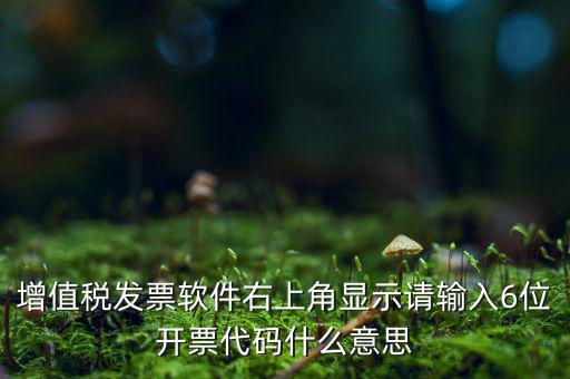 發(fā)票查詢校驗碼后六位是什么，發(fā)票驗證碼是什麼
