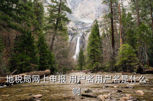 河北地稅登錄用戶名是什么，地稅的用戶名是什么