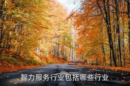 涉稅專業(yè)服務(wù)機(jī)構(gòu)包括什么，智力服務(wù)行業(yè)包括哪些行業(yè)
