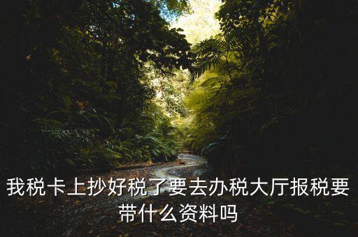 報稅廳抄報需要帶什么資料，抄稅需要帶些什么資料