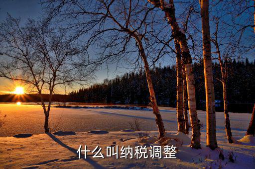 什么是納稅調(diào)整減少額，納稅調(diào)整增加額和減少額都包括哪些項(xiàng)目