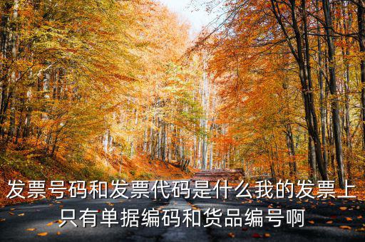 發(fā)票號碼和發(fā)票代碼是什么我的發(fā)票上只有單據編碼和貨品編號啊