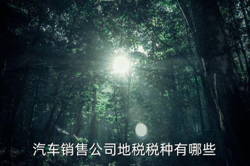銷售汽車繳納什么稅，一般納稅人公司銷售使用過的汽車要交哪些稅