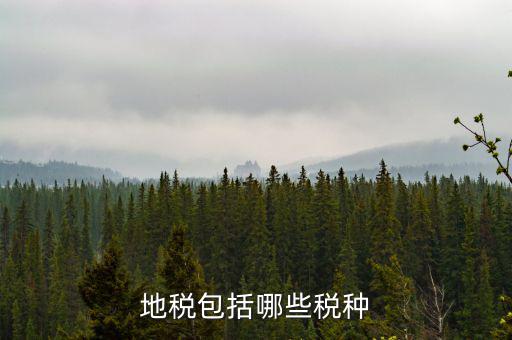 地稅包括什么，地稅包括哪些稅種
