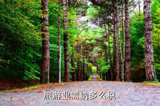旅游業(yè)是什么稅，旅游行業(yè)需要交納什么稅呢