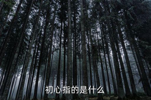 稅務人 初心是什么，納稅人意識是什么謝謝