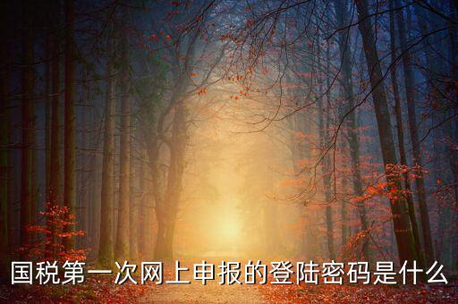 國稅申報登陸密碼是什么，國稅第一次網(wǎng)上申報的登陸密碼是什么