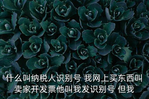 什么叫納稅人識別號 我網上買東西叫賣家開發(fā)票他叫我發(fā)識別號 但我