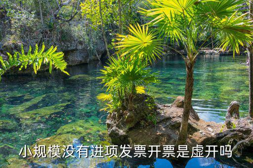 什么是虛假進(jìn)項(xiàng)發(fā)票，什么是虛購增值稅發(fā)票