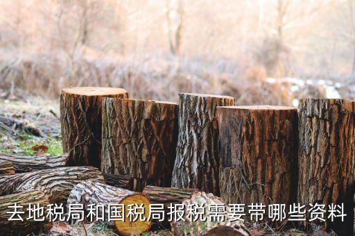 地稅局交稅需要什么，去地稅局繳納營業(yè)稅金及附加需要帶什么資料