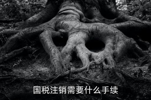國稅局注銷要什么手續(xù)，國稅注銷需要什么手續(xù)