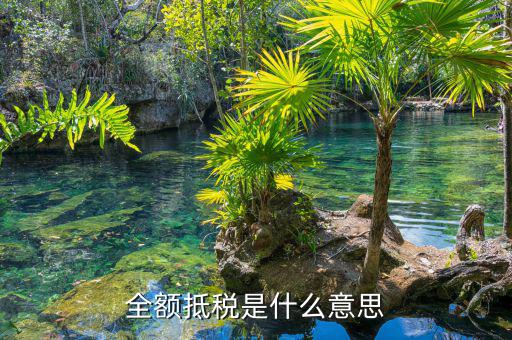 什么叫全額抵p，增值稅的全額抵扣是什么意思