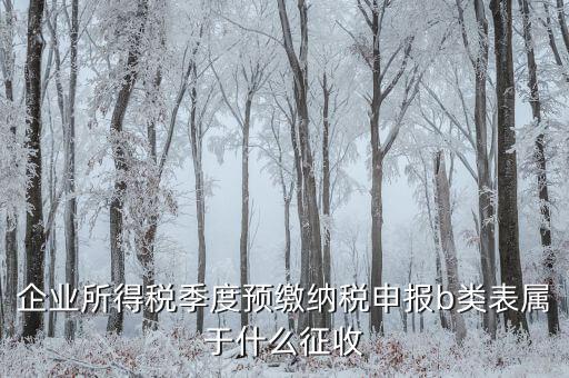 所得稅b類按什么征收，企業(yè)所得稅季度預(yù)繳納稅申報(bào)b類表屬于什么征收