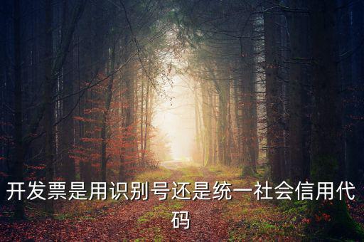 發(fā)票填寫統(tǒng)一社會代碼是什么，開發(fā)票要的稅號是統(tǒng)一社會代碼證號嗎