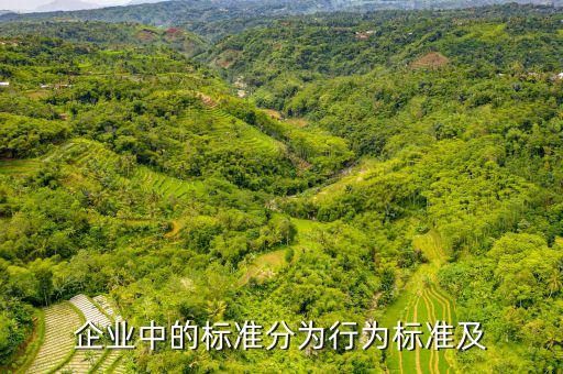 公司的標(biāo)準(zhǔn)是什么，企業(yè)中的標(biāo)準(zhǔn)分為行為標(biāo)準(zhǔn)及