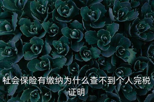 為什么查不到納稅記錄，社會(huì)保險(xiǎn)有繳納為什么查不到個(gè)人完稅證明