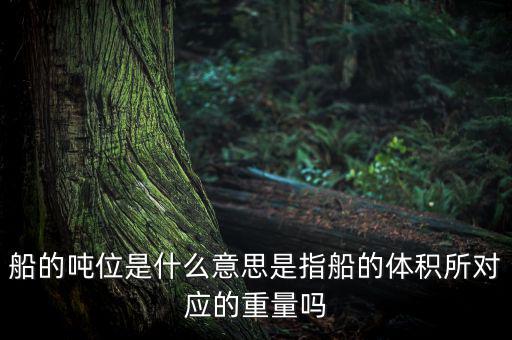 什么是車船噸位，船舶噸位是什么意思