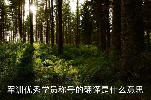 軍訓(xùn)優(yōu)秀學(xué)員稱(chēng)號(hào)的翻譯是什么意思