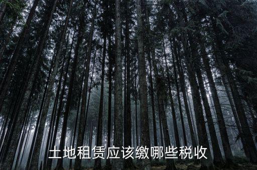 土地租賃需要交什么稅，土地租賃應(yīng)該繳哪些稅收