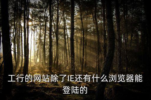 開票登陸的瀏覽器是什么，工行的網(wǎng)站除了IE還有什么瀏覽器能登陸的