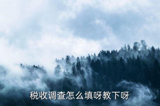稅收調(diào)查主要調(diào)查什么，企業(yè)所得稅稅收調(diào)查