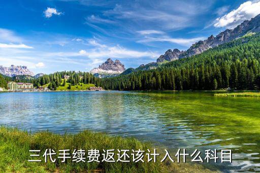 什么叫三代手續(xù)費(fèi)，三代手續(xù)費(fèi)返還該計(jì)入什么科目