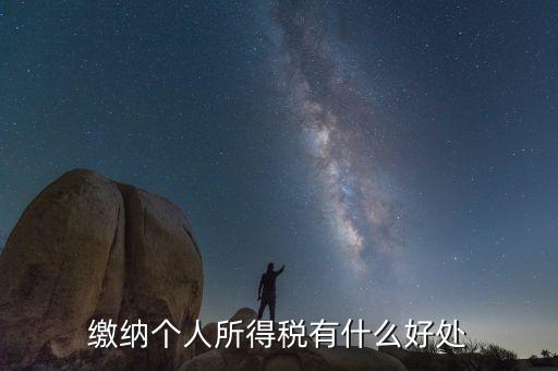 個(gè)人報(bào)稅有什么用，個(gè)人自行納稅申報(bào)有什么好處