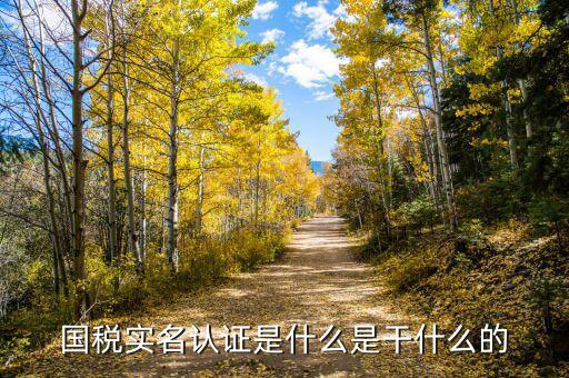 國稅局實(shí)名認(rèn)證是什么，今天國稅局叫去實(shí)名認(rèn)證認(rèn)證是不是就得交
