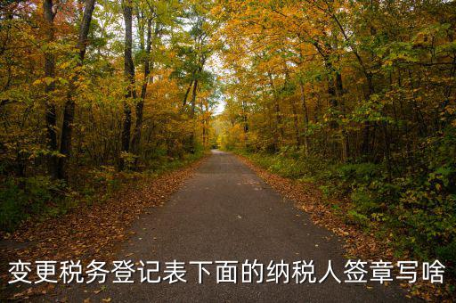 地稅申報(bào)納稅人簽章是什么意思，變更稅務(wù)登記表下面的納稅人簽章寫啥
