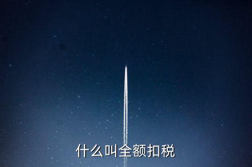 什么是全額納稅，請問地稅局說的個稅要全員全額交納是啥意思