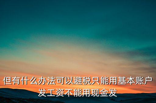 什么是國稅存量賬戶，但有什么辦法可以避稅只能用基本賬戶發(fā)工資不能用現(xiàn)金發(fā)