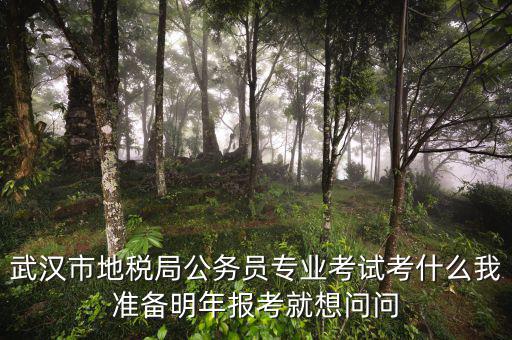 省地稅局復(fù)試考什么，武漢市地稅局公務(wù)員專業(yè)考試考什么我準(zhǔn)備明年報(bào)考就想問問