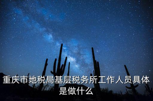 重慶地稅局前臺(tái)做什么的，重慶市地稅局基層稅務(wù)所工作人員具體是做什么