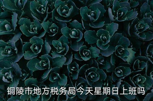 銅陵地稅局在什么地方，銅陵市地方稅務(wù)局今天星期日上班嗎