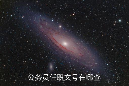 什么地方可以查任職文號，公務(wù)員任職文號在哪查