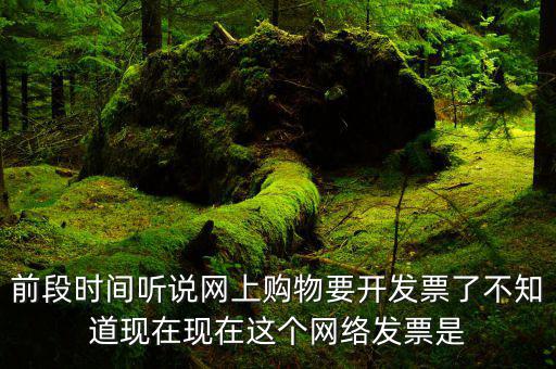 網(wǎng)絡(luò)發(fā)票是什么，在網(wǎng)上買東西電子發(fā)票與普通發(fā)票有區(qū)別嗎
