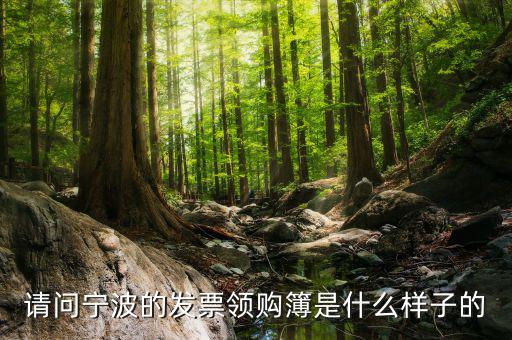 發(fā)票領(lǐng)用簿什么樣子，會計發(fā)票領(lǐng)購沒經(jīng)驗想請問領(lǐng)購的發(fā)票時什么樣的有金額顯示嗎