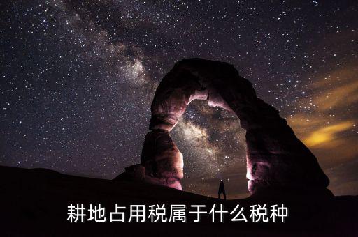 耕地占用稅屬于什么稅，耕地占用稅屬于什么稅種