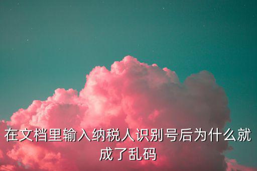 個(gè)稅導(dǎo)入模板為什么是亂碼，在文檔里輸入納稅人識(shí)別號(hào)后為什么就成了亂碼