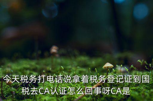 稅務(wù)局ca證書是什么，今天稅務(wù)打電話說拿著稅務(wù)登記證到國稅去CA認(rèn)證怎么回事呀CA是