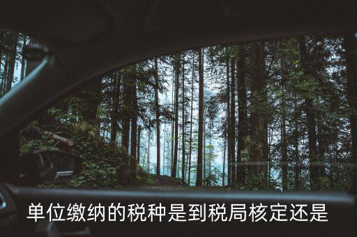 什么時(shí)候 稅種核定，單位繳納的稅種是到稅局核定還是